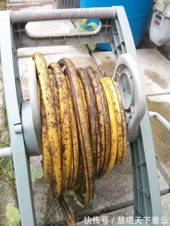 真相&24张欺骗你的眼睛照片,眼见也不一定为实!