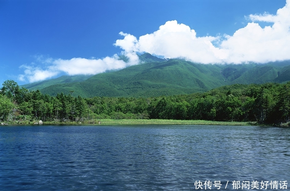 大奖|财神点名3生肖，11月，横财先进门，大奖随后到，一夜暴富