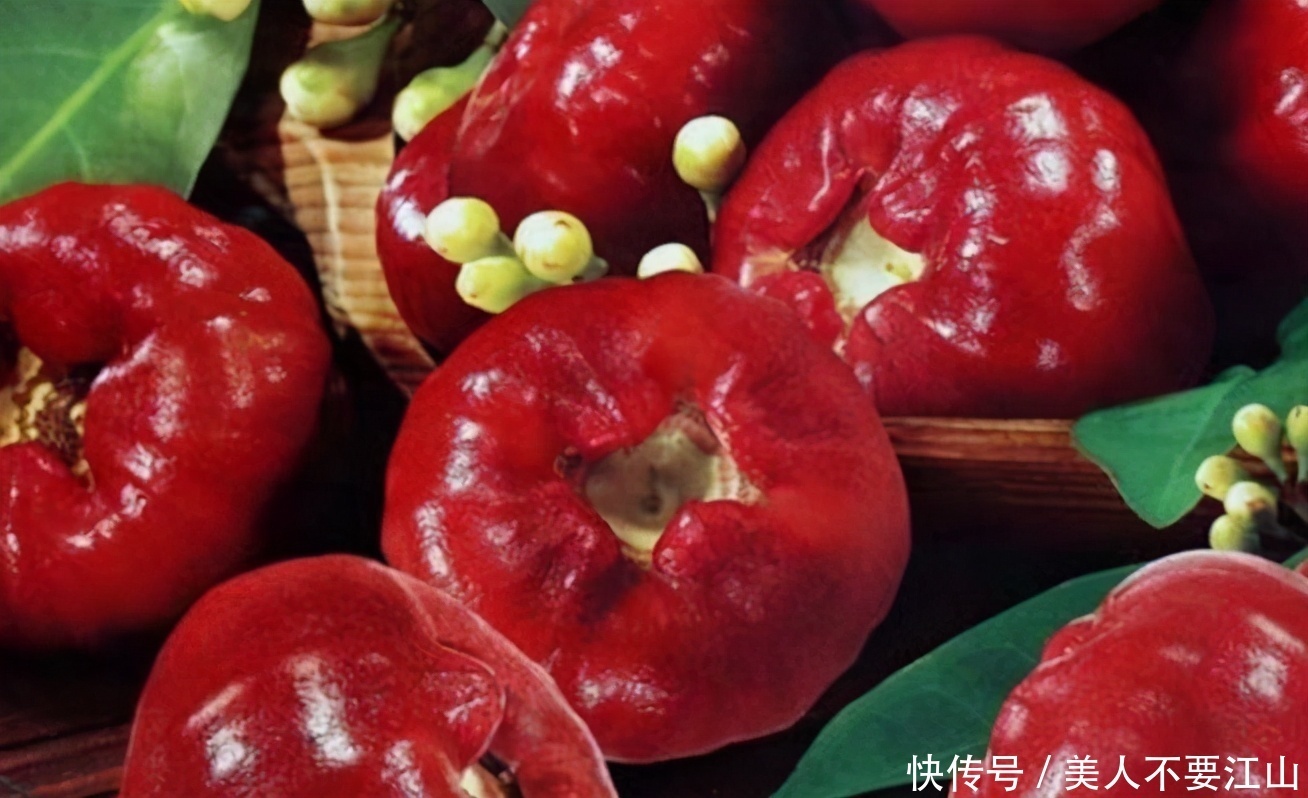 食物|冬天来了,不妨多吃以下食物,皱纹没了,色斑淡了,拿肉也不换