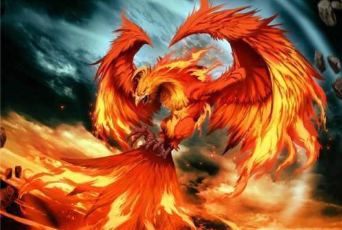 凤凰部落!若你是这4个姓氏之一,可能不是龙的传人,而是远古凤凰部落后代