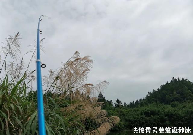 手竿|浅水好钓鱼,但这4件事你不可不知,弄错一件就与大鱼无缘