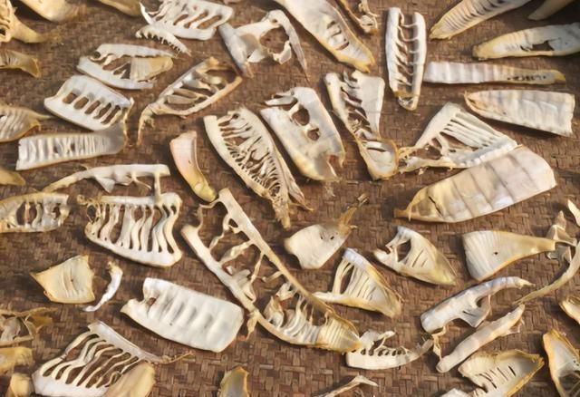 不怕过期的食材,一次性多做点存着,吃到明年也不坏,炖肉香极了