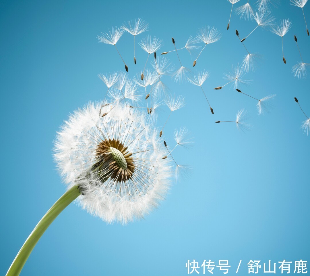 有钱人!人活一世,一眨眼就到头了:人生最大的意义,不过是做好这件事