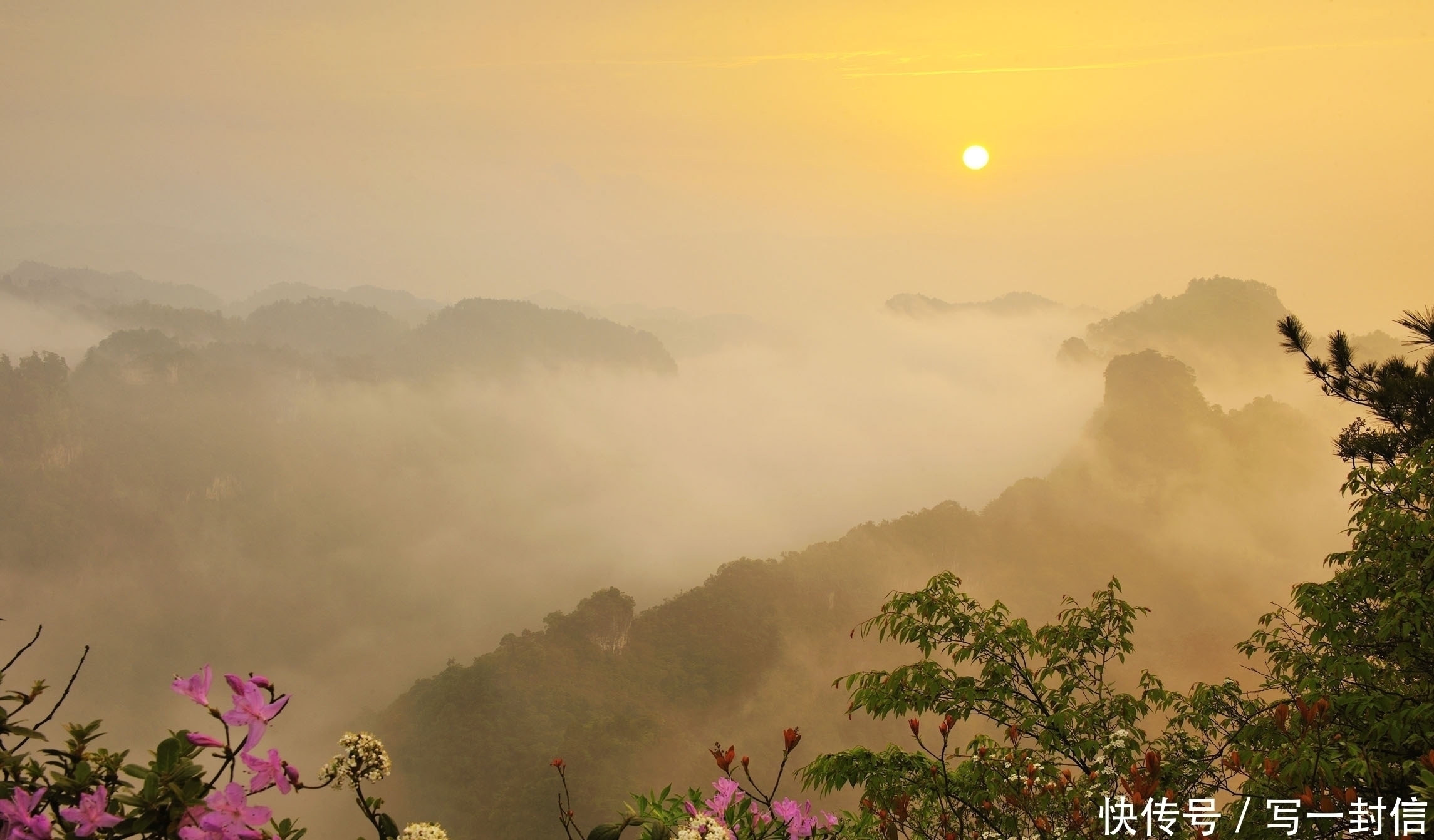 春雨#盛唐春色有多迷人?这四首诗篇篇都是千古名句