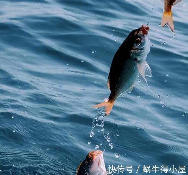 水域|找好钓点,陌生水域也可能连竿