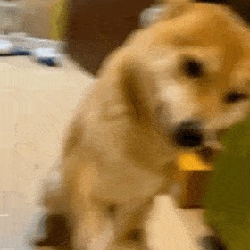 |搞笑表情包更新:再坚持坚持,一辈子很快就过去了