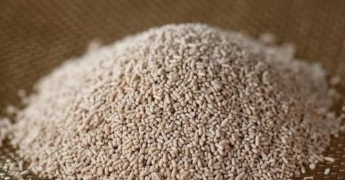 做馒头时，有人放糖，有人放碱面，到底应该放什么？