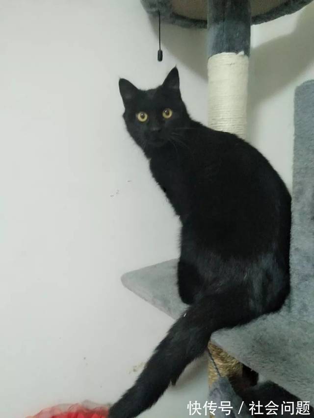 纯素馅大包子，鲜嫩多汁，比肉的还香，一次多蒸点，早餐也有了