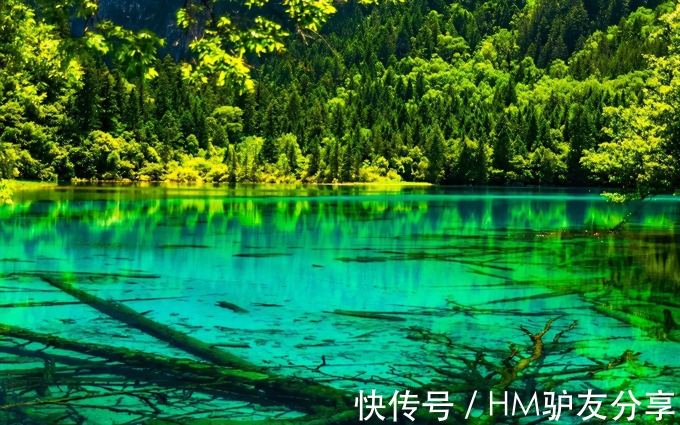 九寨沟|7月最佳旅行地推荐，个个清凉景美又好玩，你还在等什么