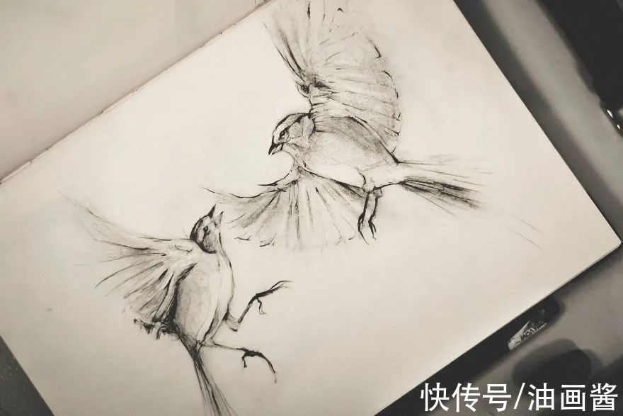 素描@艺术家公开自己的速写本,风格化的动物素描,?个个惹人爱