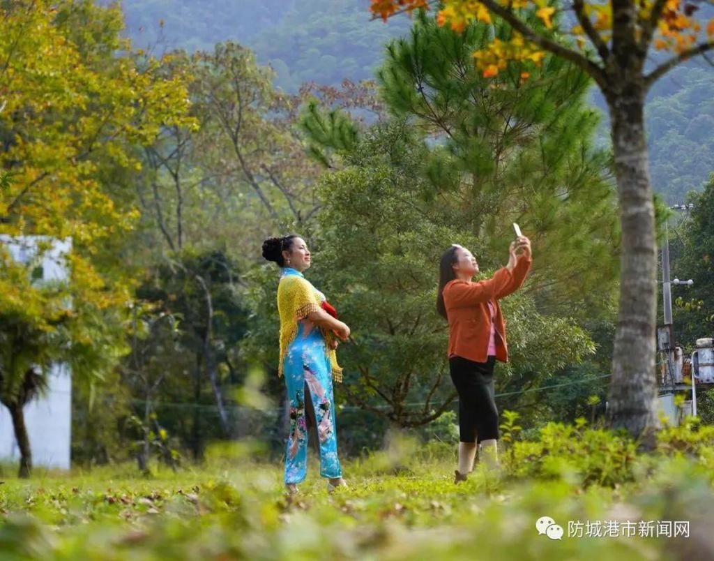 大山国家森林公园|看“枫”景、泡温泉，这个冬天来这里就对了！