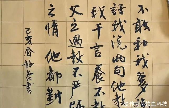 辞海$徐静蕾楷书也堪称养眼,专家也服了日后可考虑拜她为师