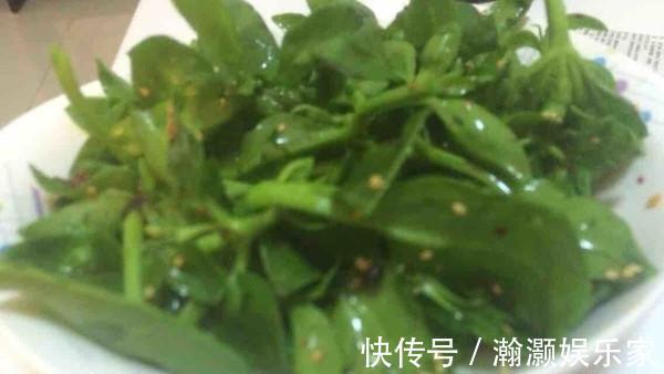 金耳钩|“天然阿莫西林”就是它,秋季常吃,强健体质,清热解毒