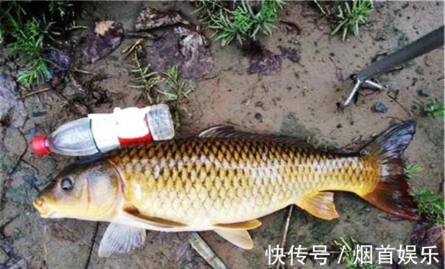 钓鱼时子线缠绕让人头疼,子线断裂让人懊恼,试试这样来避免吧!