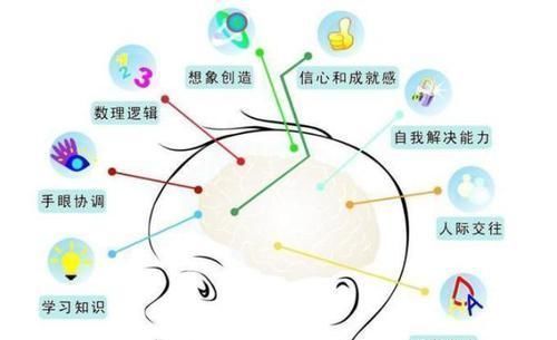 哈佛|哈佛研究发现:大脑发育高峰期只有3次,家长务必帮孩子抓住了