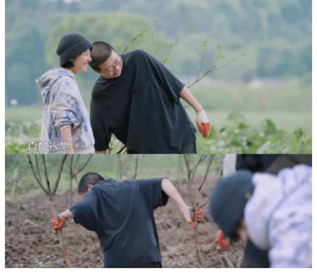 李诞|《向往的生活》迎来最讨厌嘉宾，嫌菜不好吃不动筷，黄磊全程黑脸