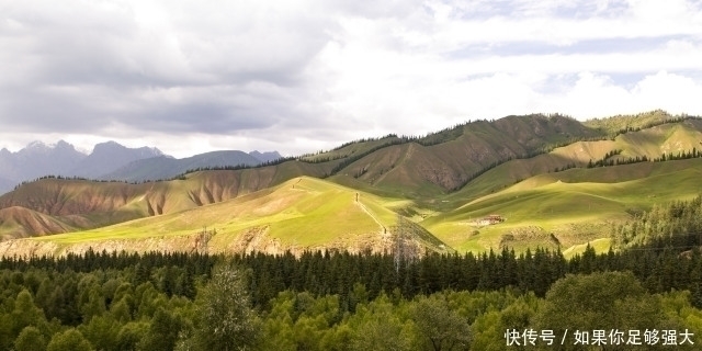 青莲居士|杨万里的一首七律,首句就直击人心,颈联更值得细读