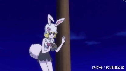 草帽一伙|海贼王草帽一伙的第十人是谁海贼无双4里面早有提示!