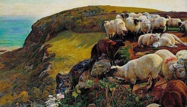 莽原#为何鲁迅说:猛兽总是独行,牛羊才成群结队?其深层含义少有人知