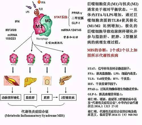 母亲血糖从12.7降到6，女儿从11.3降到6.5，肠道菌群重建效果显著