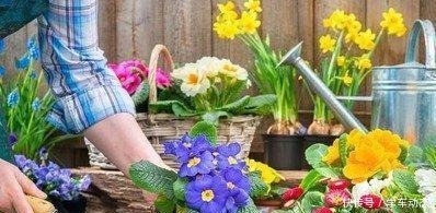 养花杀手的“臭毛病”，怪不得养一盆死一盆，看看你占了几种！