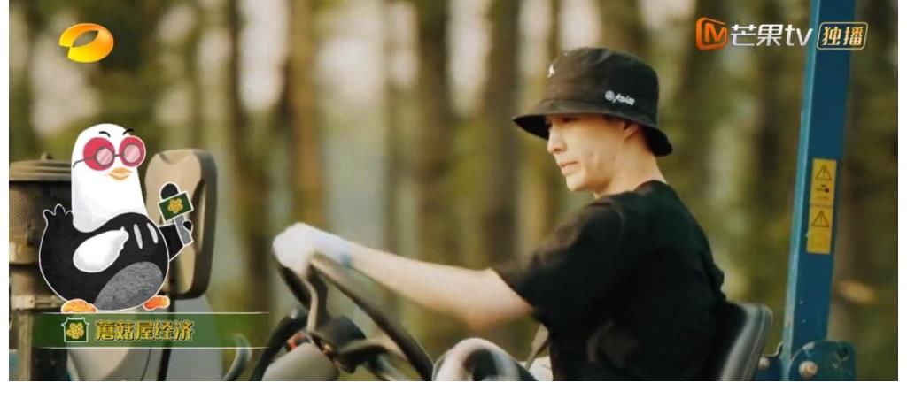 图书馆|《向往的生活5》图书馆开业,张艺兴正能量满满,拉满节目效果!