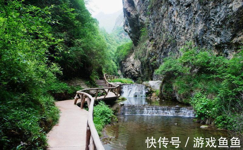 避暑胜地|定西一冷门山区，植被茂密为避暑胜地，名气小游客少形成幽静空间