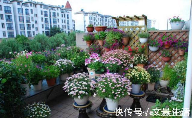 户外捡3种东西,养花肥沃、透气,1-2年不施肥,花卉轻松爆盆