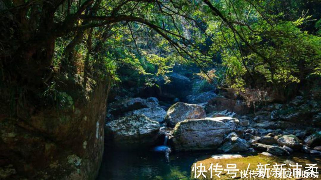 送别$王昌龄这首诗抚慰了无数游子,写得真是太好了,读来让人倍感温馨