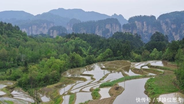 去“张家界”这四个地方你必须去看看！