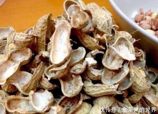 它可做成餐桌上的美味,养花人的盆栽,外壳还能增强土壤透气性!