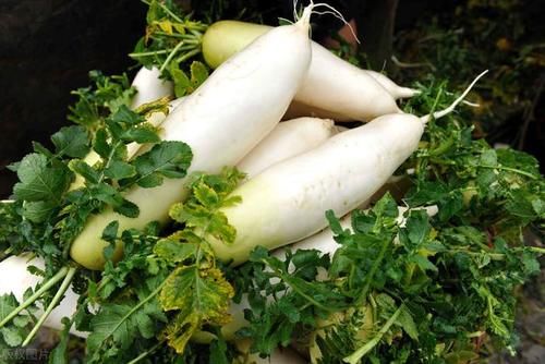 立春以后，这4样青菜要多吃，滋养脾胃，顺应时节，轻松过春寒