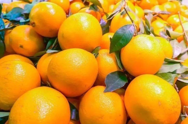 化学物质|少给孩子吃4种水果,可能含有大量的甲醛,多吃还容易患白血病