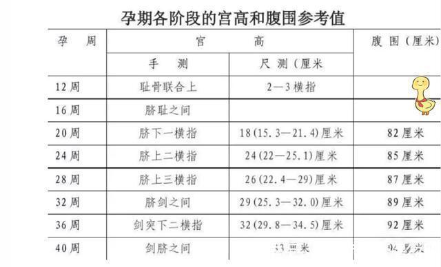 丽丽|说好的十月怀胎，为啥只有“280天”？胎宝宝预产期到底咋算？