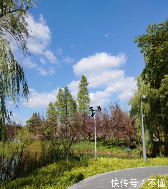 R2|「集微拆评」坚果R2评测：旗舰配置加独有功能，手机更好用了