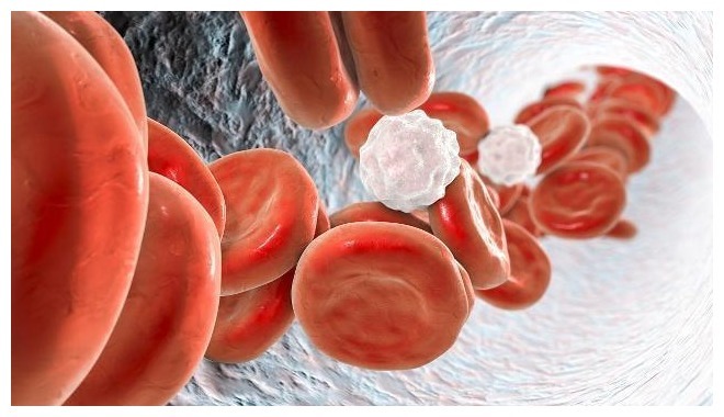 睡眠质量|雄性激素较高的男人,身上通常有3种共性,若全中,恭喜