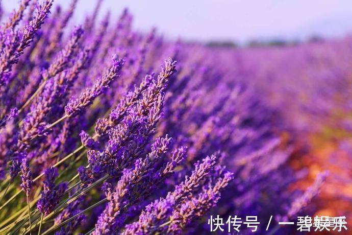 生肖|未来一月有横财,买彩票中百万大奖的3大生肖