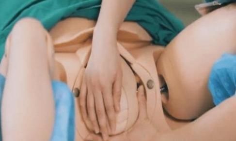 女人|模型演示女人顺产全过程,让准爸爸了解妻子的辛苦与危险