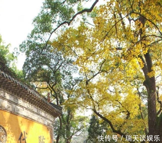 心境|扫地眼尘净,焚香心境清