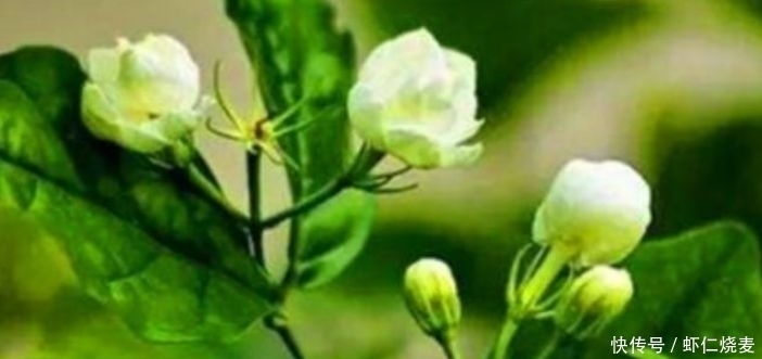 天冷了，常吃3種食物，堅持半個月，排毒養(yǎng)顏、滋補(bǔ)身體！