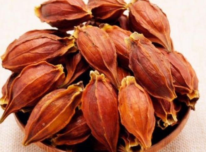 消炎|晚上易失眠多梦用此物泡水,睡前来一杯,缓解失眠抗菌消炎