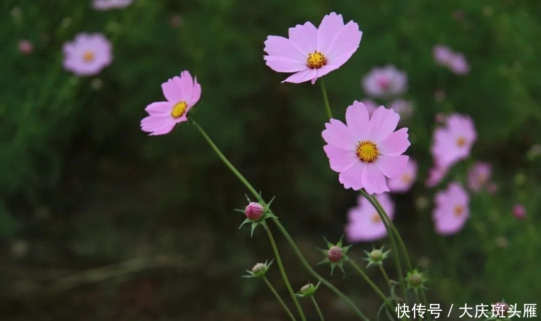 尊重|尊重(写得真好)