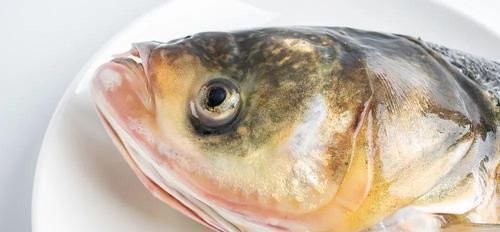 鱼头|注意鱼身上一个部位有毒，千万别吃爱吃鱼的小伙伴赶紧看看吧