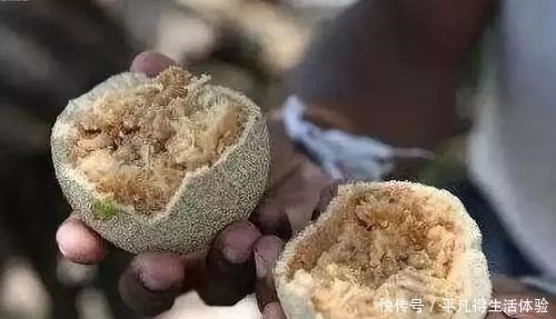 在东南看到这种水果,万不可尝试!10元一个,果肉还糜烂不堪!