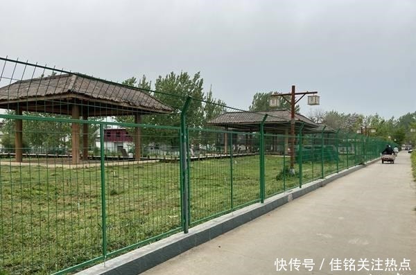 冷落|失落的贾湖遗址②尴尬!贾湖遗址惊艳了世界却冷落在民间