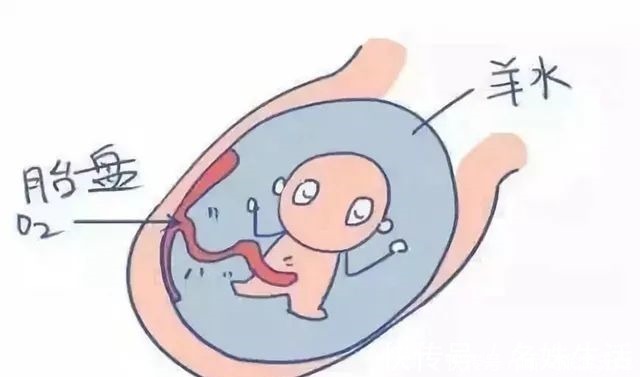 发育|四维彩超单上的三个数据,暗示胎儿发育好不好,孕妈学会看更省心