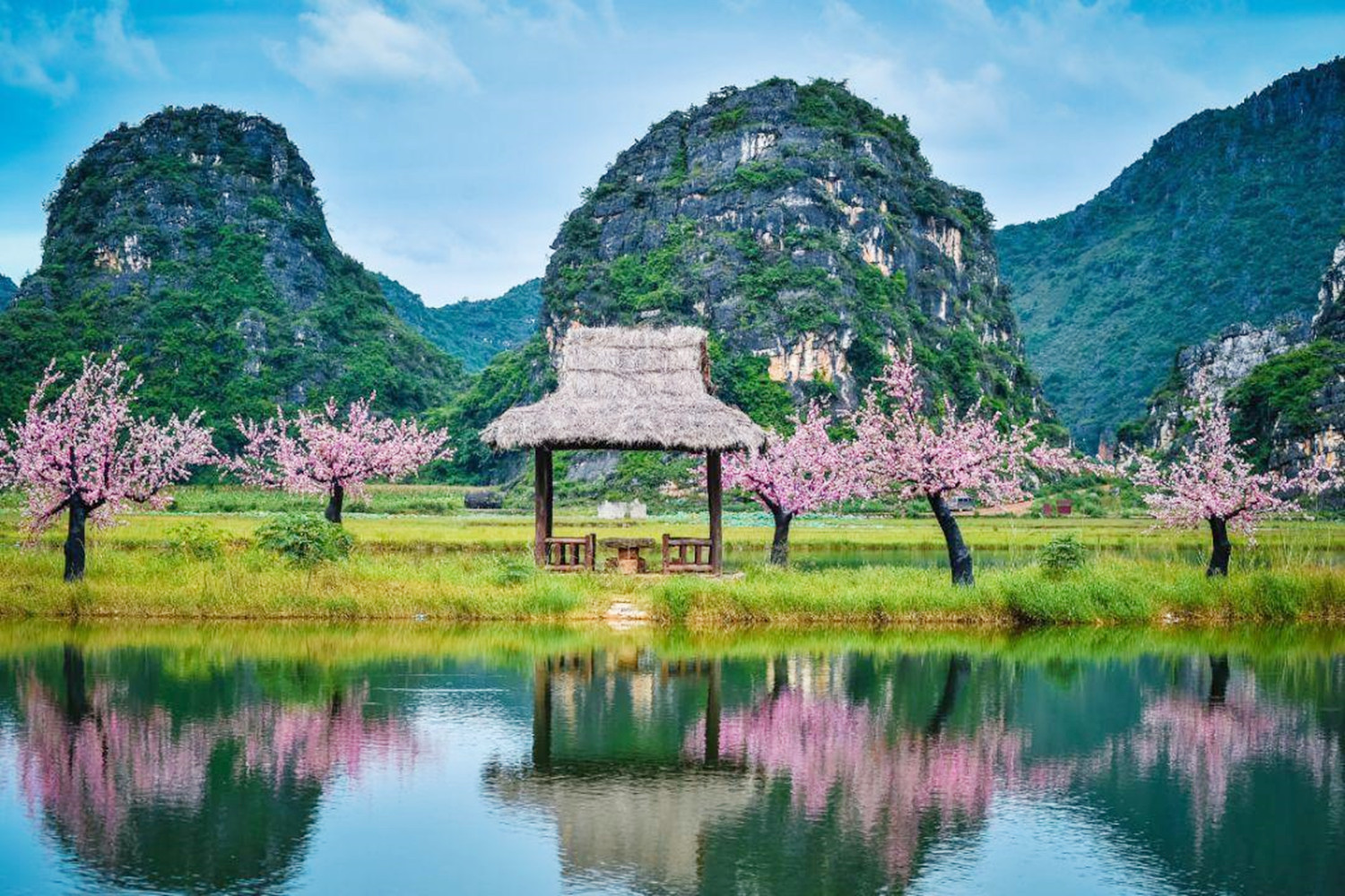 电视剧|十里桃花景区真实存在吗？它又是哪里的景点，看完忍不住想去打卡