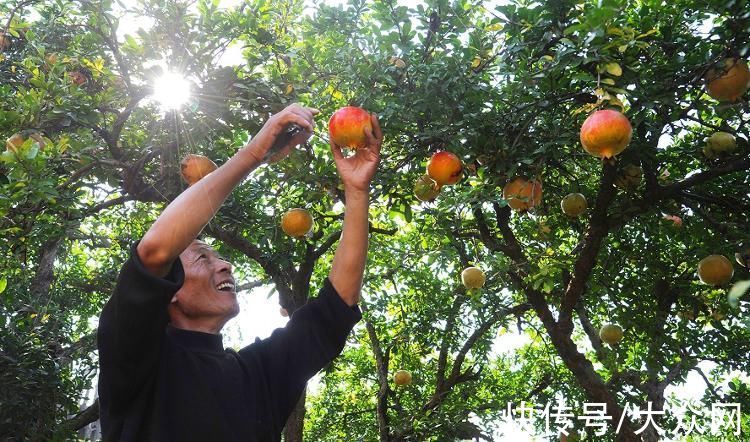 动力电池|枣庄：重铸荣光