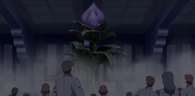 博人传174集神树重生,大蛇丸参战