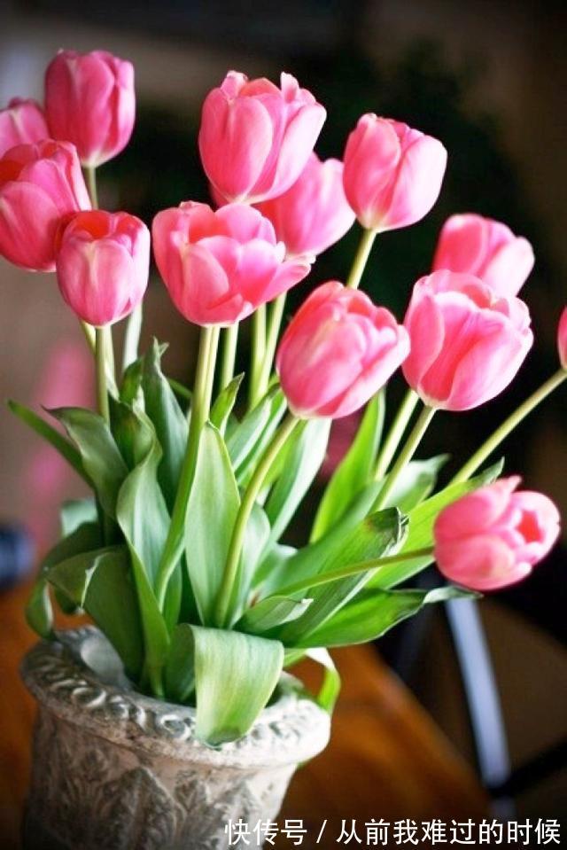 警世名言！醒悟人生的警世名言，睿智透彻，句句中肯实用